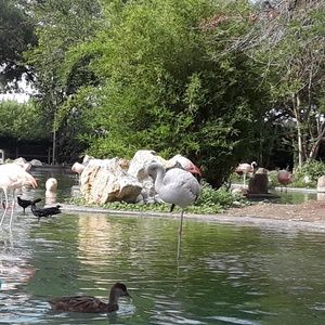 Meet your Posher, Nataly